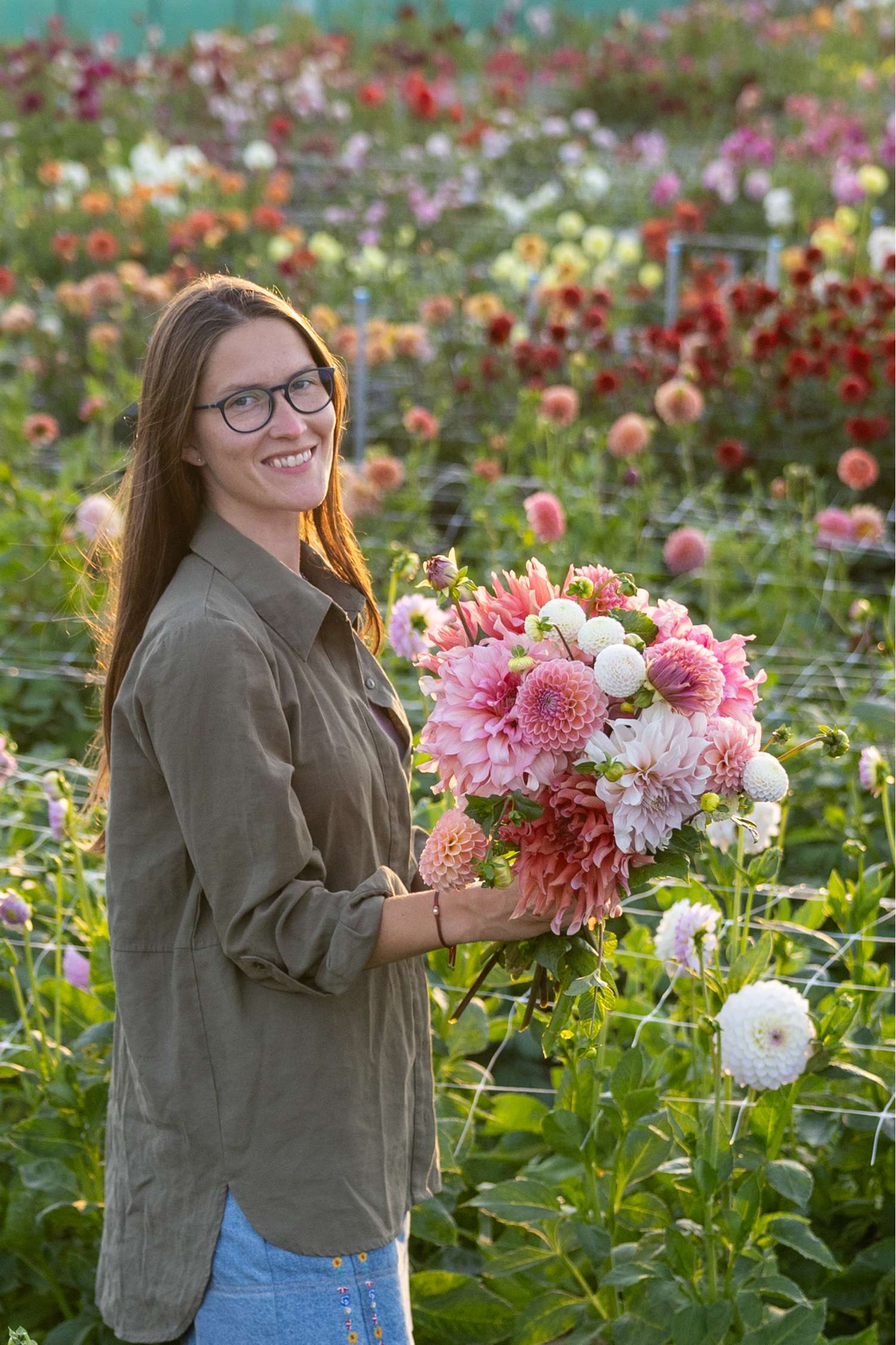 Mélange de dahlias 'Watermelon Shake'